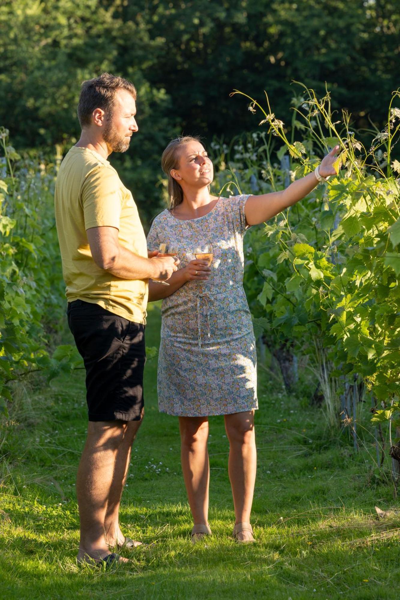 ホテル Holmegaard Vin Og Glamping Dannemare エクステリア 写真