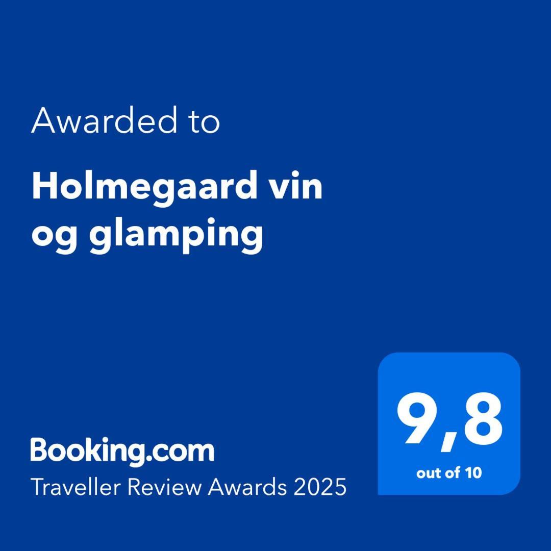ホテル Holmegaard Vin Og Glamping Dannemare エクステリア 写真